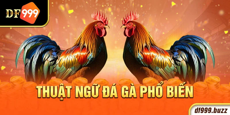 Tổng hợp những thuật ngữ đá gà phổ biến