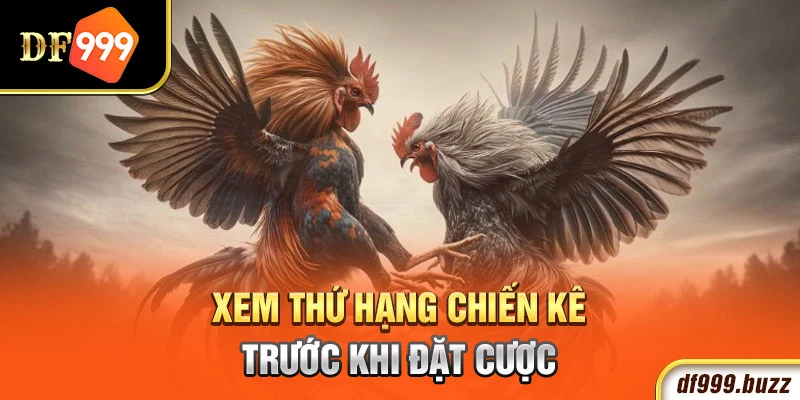 Xem thứ hạng chiến kế trước khi xuống tiền