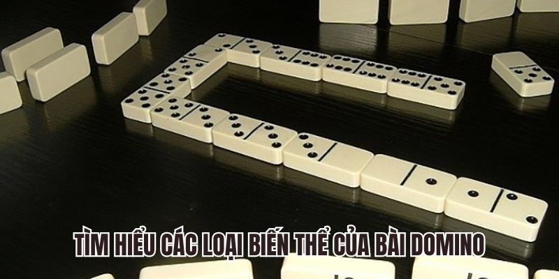 Tìm hiểu các loại biến thể của bài domino